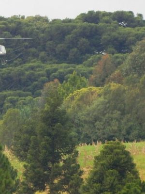 68285849_2360992617324756_8072046834152898560_n