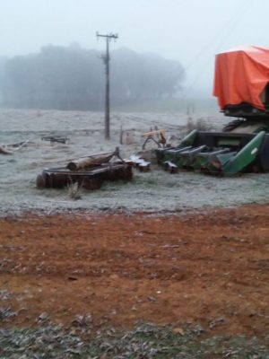 whatsapp-image-2019-07-07-at-07-10-32