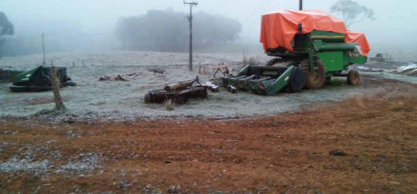 whatsapp-image-2019-07-07-at-07-10-32