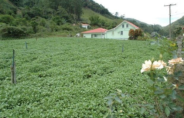 santa_catarina_tem_83_dos_imoveis_regularizados_no_cadastro_ambiental_rural__20180201_1985122612-1