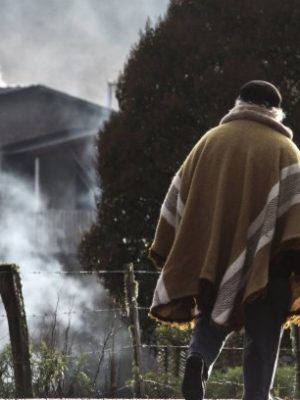 5uh6v2e0ygb7lnl2581l7dg8