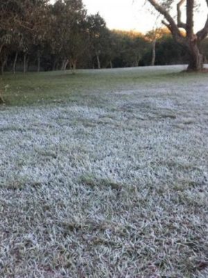 640x480-847e70cd4d2ec5bb945f4c7eb82b2dd2