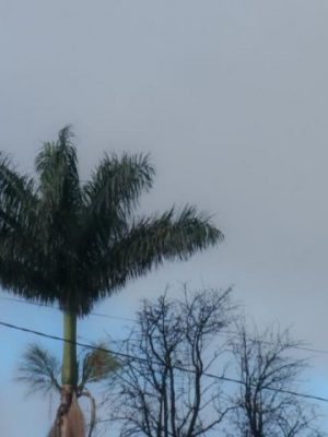 640x480-f3adad72cbdd75f1cde1ee477a8f5cde