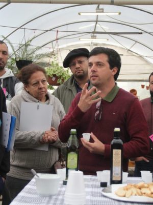 curso-de-producao-de-oliveiras-por-nubia-garcia-27-07-29-6-e1564432674386