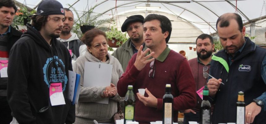 curso-de-producao-de-oliveiras-por-nubia-garcia-27-07-29-6-e1564432674386