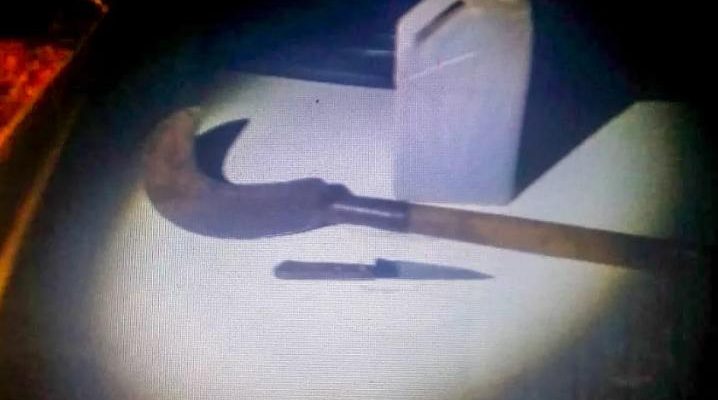 whatsapp-image-2019-08-30-at-06-55-55