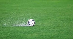 whatsapp-image-2019-08-31-at-13-17-08