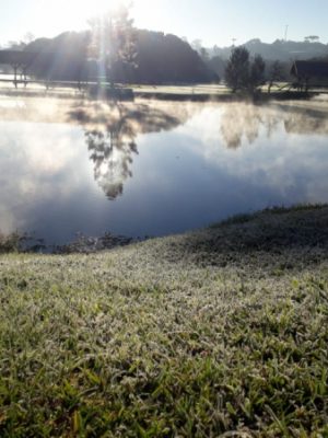 noticia_230721_img1_geada