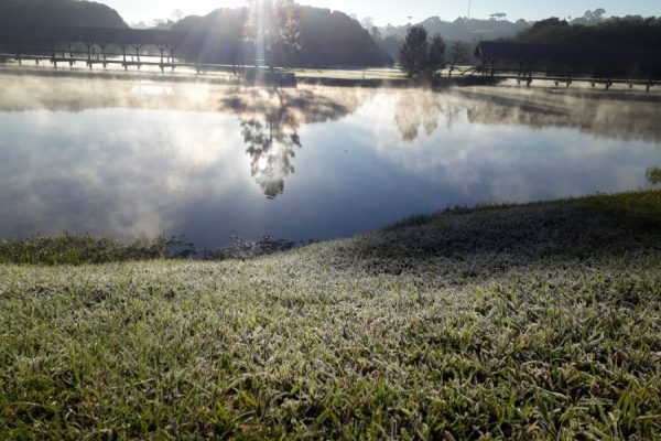 noticia_230721_img1_geada