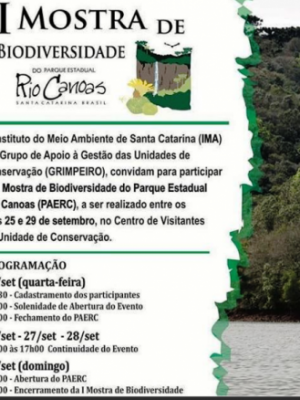 696c7813630fbba901d3307f0275f804