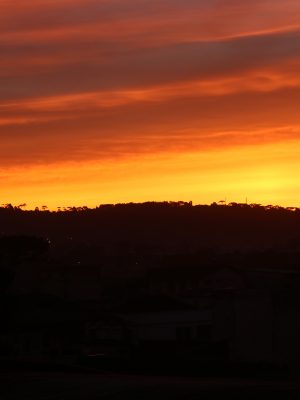 tempo-marcelaramos-1