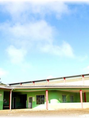 1395285_254007014749330_1732101687_n