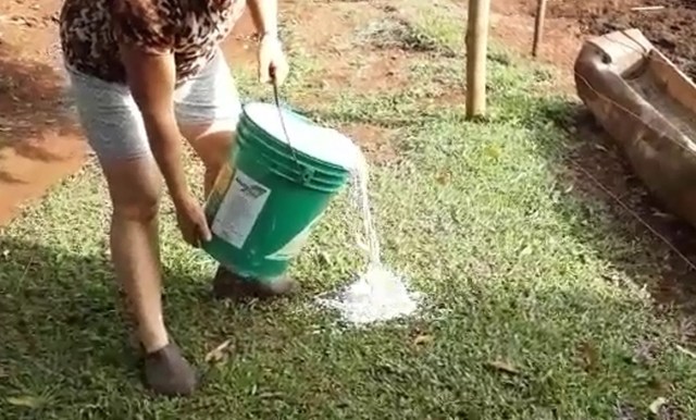 prejuizo-por-falta-de-energia-em-corbelia-produtores-de-leite-3-conexao-revista-corbelia-anahy-braganey-iguatu-cafelandia-nova-aurora