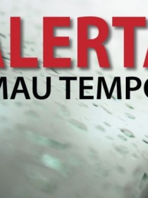 e408296c072a8d66990474622f8c1f4a_xl