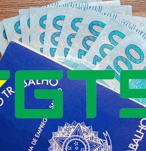 n_41273_ef0d17b3bdb4ee2aa741ba28c7255c53