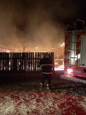 80563804_2671246632955736_666357175177707520_n