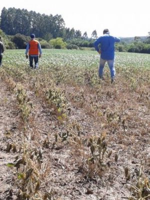 06113351_44823_gdo-18774529