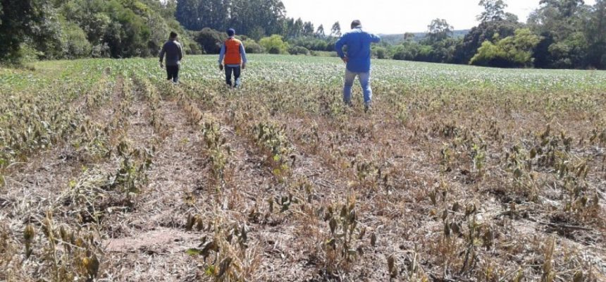 06113351_44823_gdo-18774529