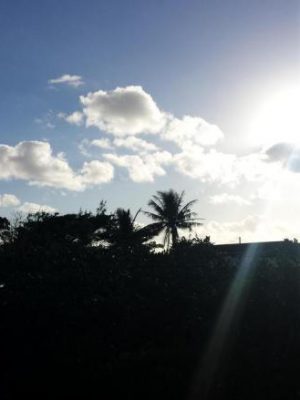 43fb360b354bc10a7331ff21c44a0efe