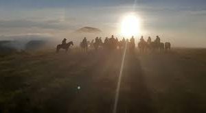 whatsapp-image-2020-02-18-at-07-56-51