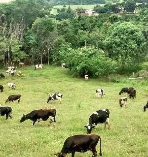 e436b54988a090468c2194e561ede0a5