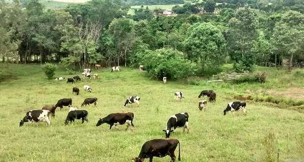 e436b54988a090468c2194e561ede0a5