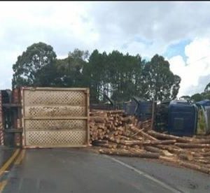 91625059_2873835866035039_5920253238010970112_o