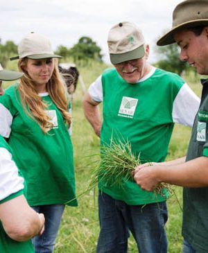 cursos-gratuitos-senar