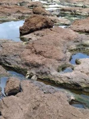 whatsapp-image-2020-02-25-at-11-03-41-1_1-jpeg_2-750x430