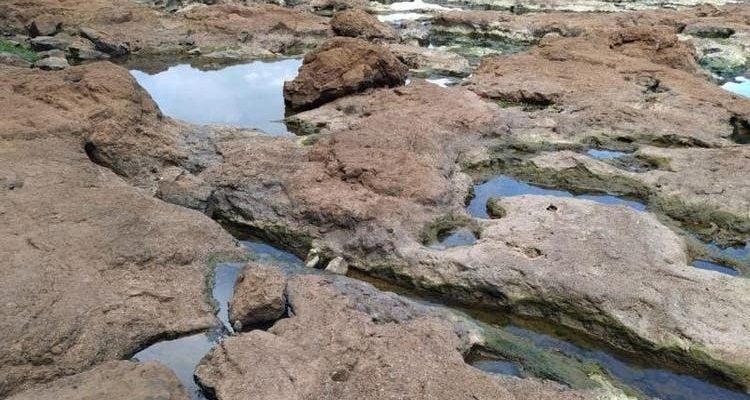 whatsapp-image-2020-02-25-at-11-03-41-1_1-jpeg_2-750x430