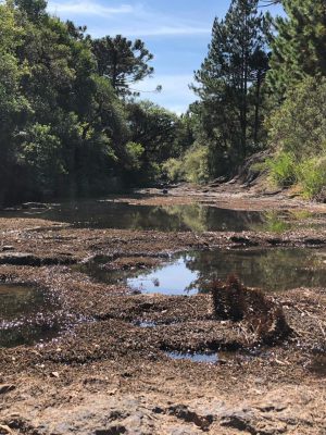 whatsapp-image-2020-03-20-at-10_24_37-am