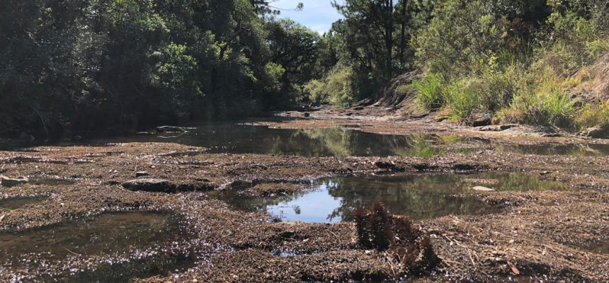 whatsapp-image-2020-03-20-at-10_24_37-am