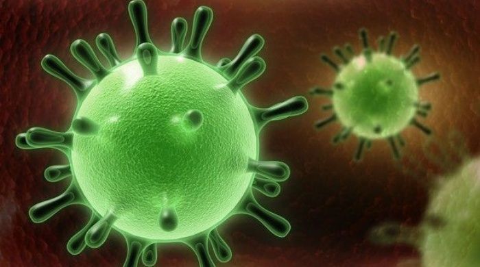 virus