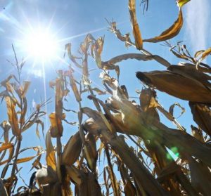 c326147bf363845862d18ba95c044e19