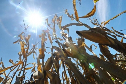 c326147bf363845862d18ba95c044e19