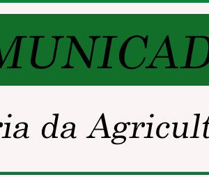 2890443_resize_1500_840