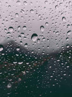 bebida-bolha-bonito-1855654