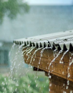 chuva_de_verao_texto_1556551807