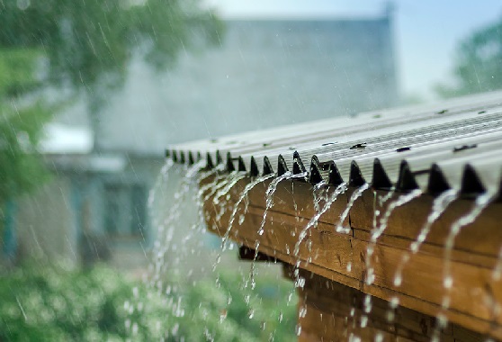 chuva_de_verao_texto_1556551807