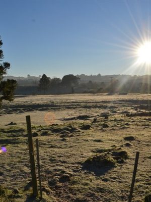 sao_joaquim_mycchel_hudsonn_legnaghi