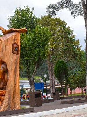 54799293_1787066321394629_8403421170405212160_o