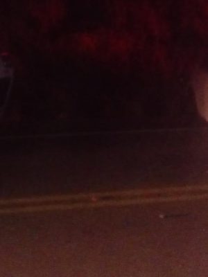 whatsapp-image-2020-06-20-at-19-43-50