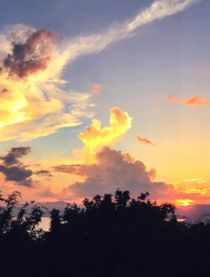 c25fbc18-3a43-4f84-92a2-294310a091c7