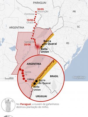 gafanhotos-sul-br-2406