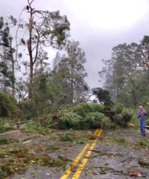 ciclone-bomba-causa-devastac%cc%a7a%cc%83o-no-sul-do-pais-6-640x360