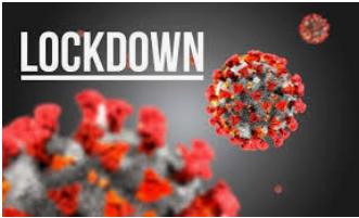 whatsapp-image-2020-07-30-at-18-29-03