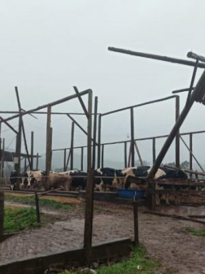 estragos_ciclone_em_sc_20200724_1037761864