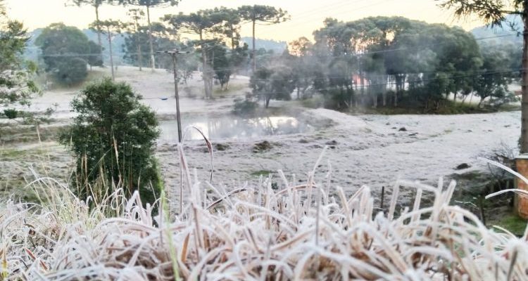 prefeitura-de-videira-750x430