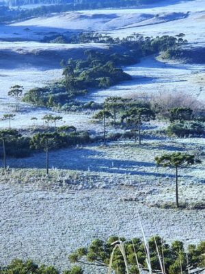 whatsapp-image-2020-07-03-at-08-37-46-2