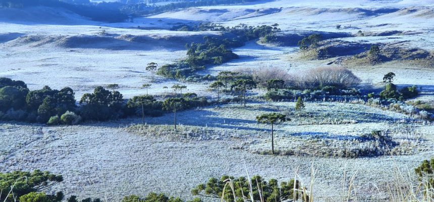 whatsapp-image-2020-07-03-at-08-37-46-2